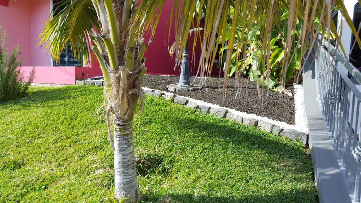 Pink House Apartment Ponta do Sol  Exterior photo